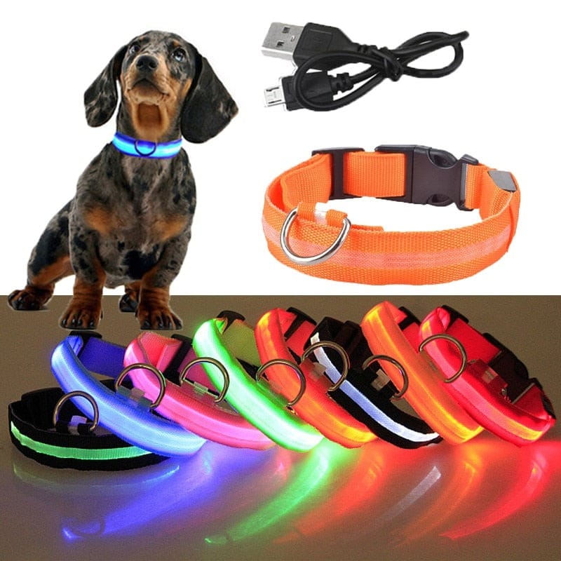Coleira Canina de LED - Maré Descontos
